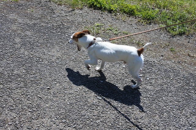 DSC_2859.jpg