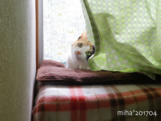 miha17-04-97.jpg